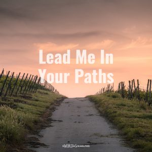 Lead Me In Your Paths - aWORDinSeason.com